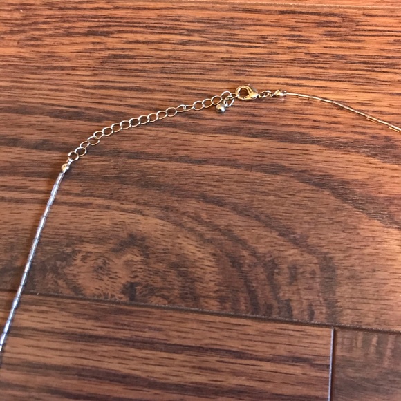 Francesca’s Tassel Necklace - Picture 4 of 5